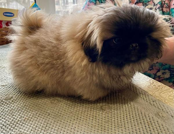 Прикрепленное изображение: IMG-20250405-WA0025 (1).jpg